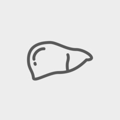 Human liver thin line icon