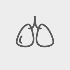 Lungs thin line icon