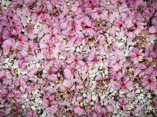 Petals and pebbles background