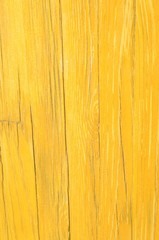 Holz