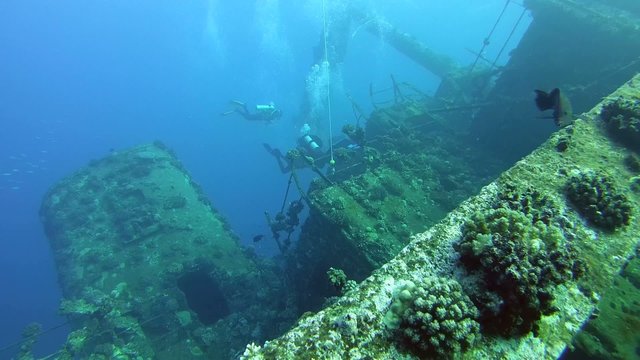 Freediver dives on the wreck Giannis D, Red Sea 