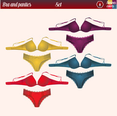 bra and panties set, vector