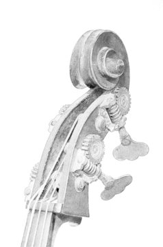 Violoncello, Wirbelkasten mit Schnecke, Wirbel und Sattel
