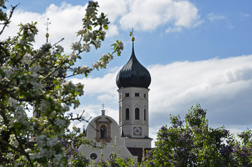Baumblüte beim Kloster Benediktbeuern