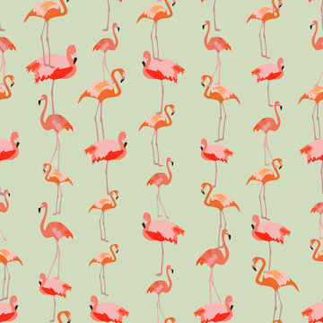 Seamless colorful background made of Flamingo in flat simple des
