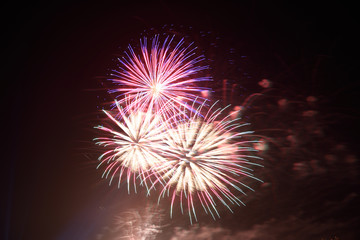 fireworks in the night sky