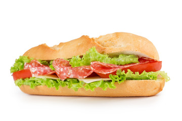 salami sandwich isolated
