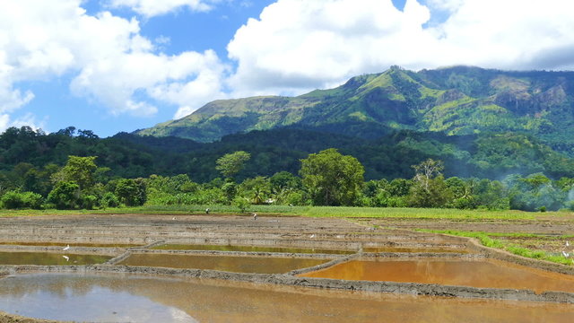 Mountain landscape with rice plantation in Sri Lanka
