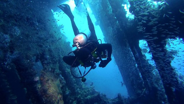 A diver swims inside wrecked ship SS Carnatic, Red Sea 
