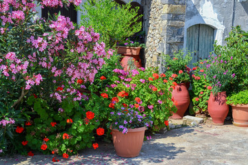 Fototapeta na wymiar Plant pots with flowers and an oleander in Greece in Sissi on Cr