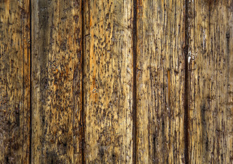 Wooden texture