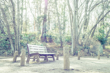 Scenery with the bench