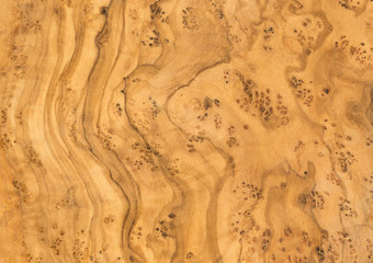Background olive wood. Vintage wood background