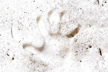 Handabdruck im dreckigen Schnee