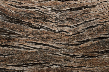 Old weathered cracked wooden surface