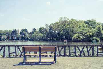 Fototapeta na wymiar Scenery with the bench