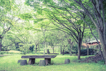 Scenery with the bench