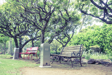 Scenery with the bench