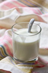  homemade yogurt