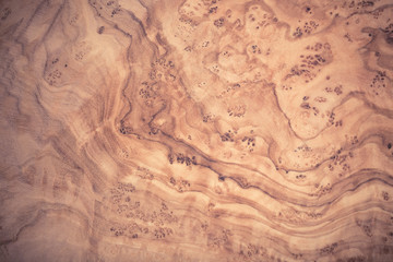 Background olive wood. Vintage wood background