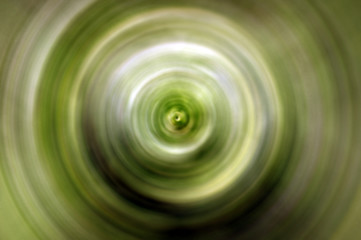 Abstrakcyjne zielone tło z wirem i pętlą © PatriciaDz