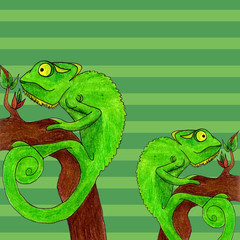 Chameleon card vector illustration