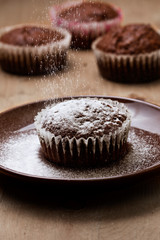 chocolate muffins