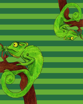 Chameleon card vector illustration