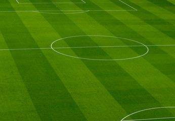 Obraz premium White lines soccer