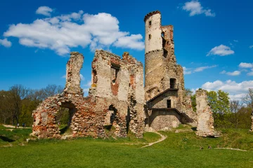 Peel and stick wall murals Rudnes The ruins of the castle Zviretice.