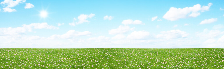 Green field and blue sky