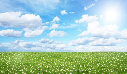 Green field and blue sky