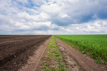 Fototapeta na wymiar Украина, вспаханное поле и поле пшеницы