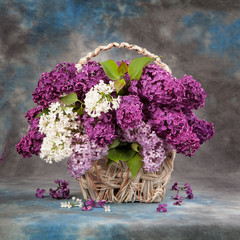 Lilac in basket