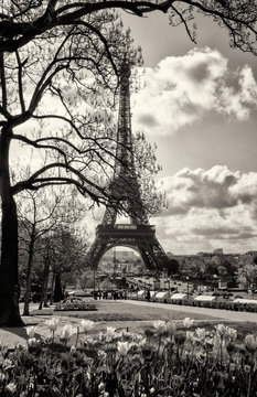 Fototapeta Paris Eiffelturm