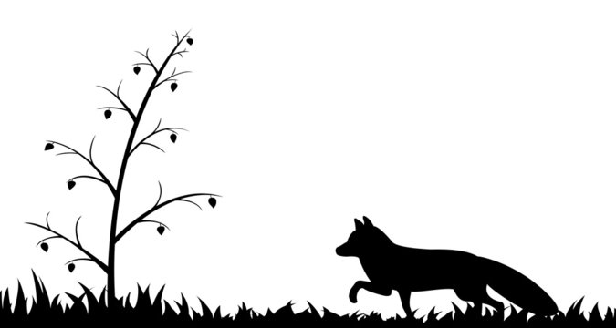 Silhouette of fox in the grass.