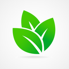 Eco icon green leaf