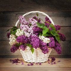 Lilac in basket