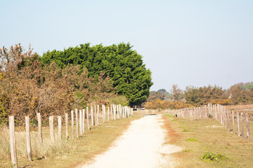 Obraz premium Chemin de randonnées à la pointe de Mousterlin dans le Finistère