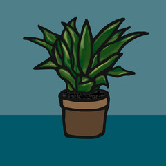 Flower in a pot vector illustration image