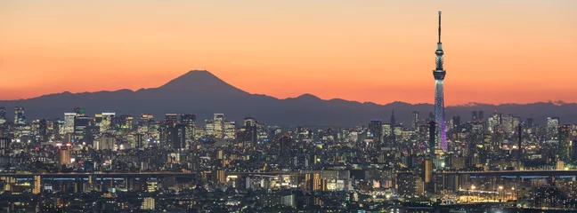 Washable wall murals Japan Tokyo cityscape and Mountain fuji in Japan