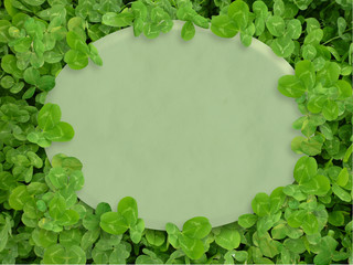 紙と緑の葉 　クローバー 