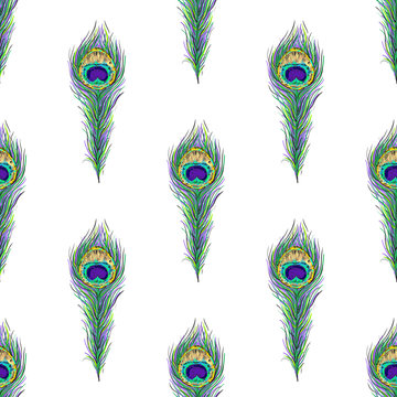 Vector seamless peacock feathers pattern
