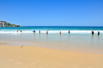 Fototapeta na wymiar View of beach in a sunny day