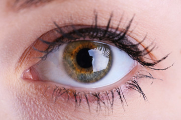 Human eye close up