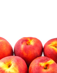 Nectarine fruits over white background