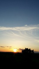 Obraz premium Arbre du soir