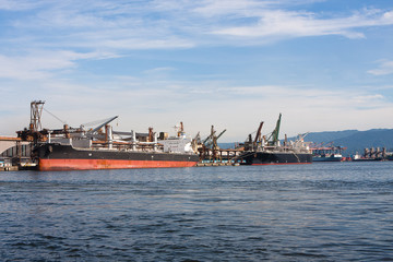Fototapeta na wymiar Cargo ships docked at the Port of Santos, Brazil