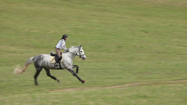 Jockey on Horse in Gallop