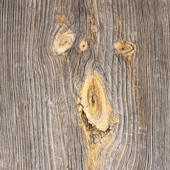 The old wood texture with natural patterns